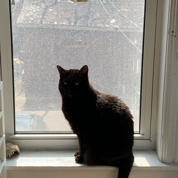 Meet your Posher, Emily - Picture 1 of 1